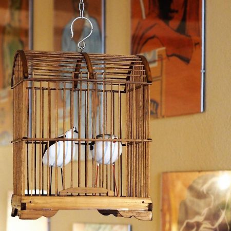 Chambres D'Hotes Le Secret Du Chat Cordes Sur Ciel Luaran gambar