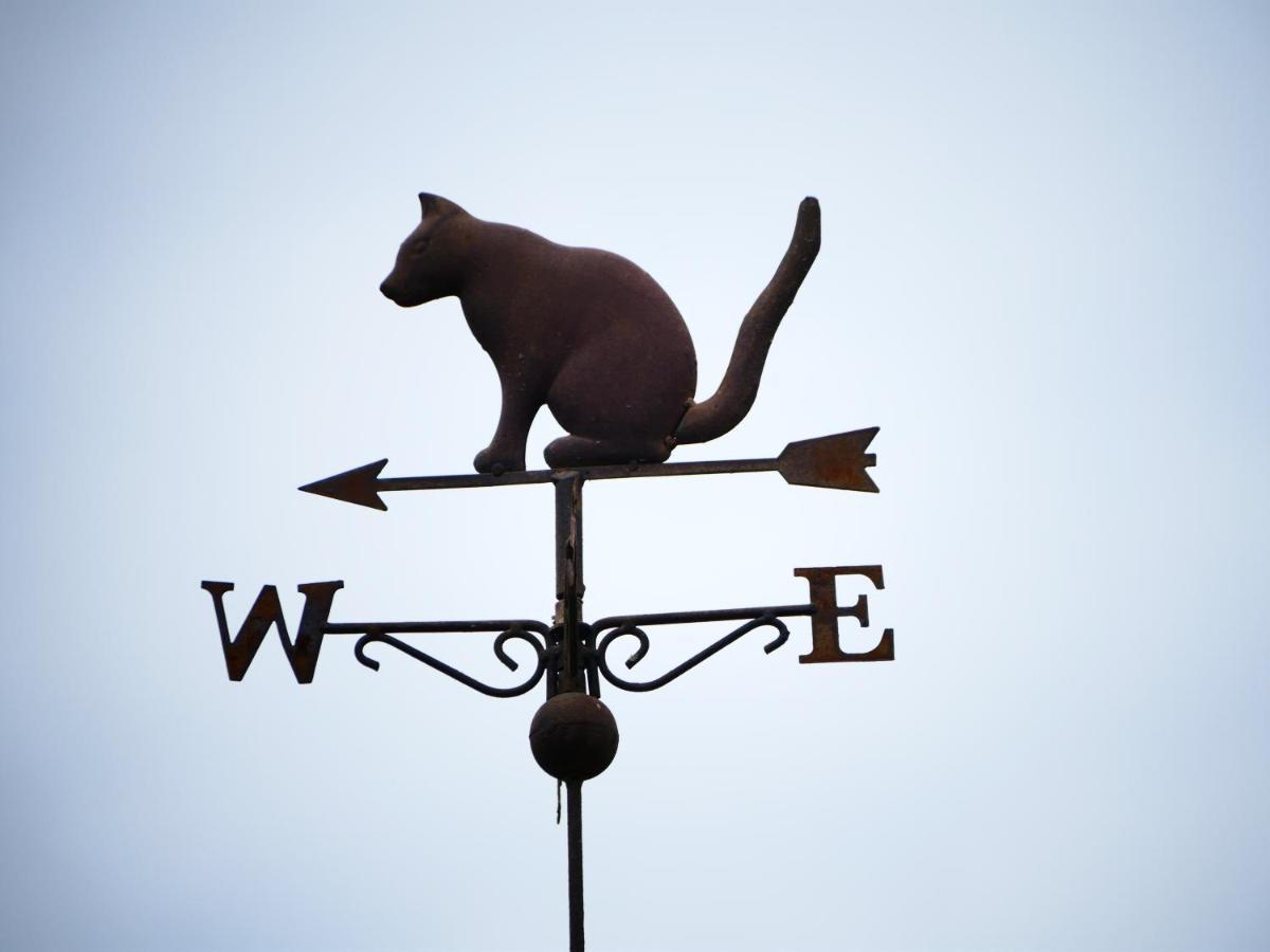 Chambres D'Hotes Le Secret Du Chat Cordes Sur Ciel Luaran gambar